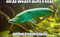 1000009960.jpg