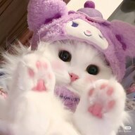 TheBeautyQueen1